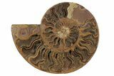 8.3" Cut & Polished Ammonite Fossil - Jurassic - #199166-1